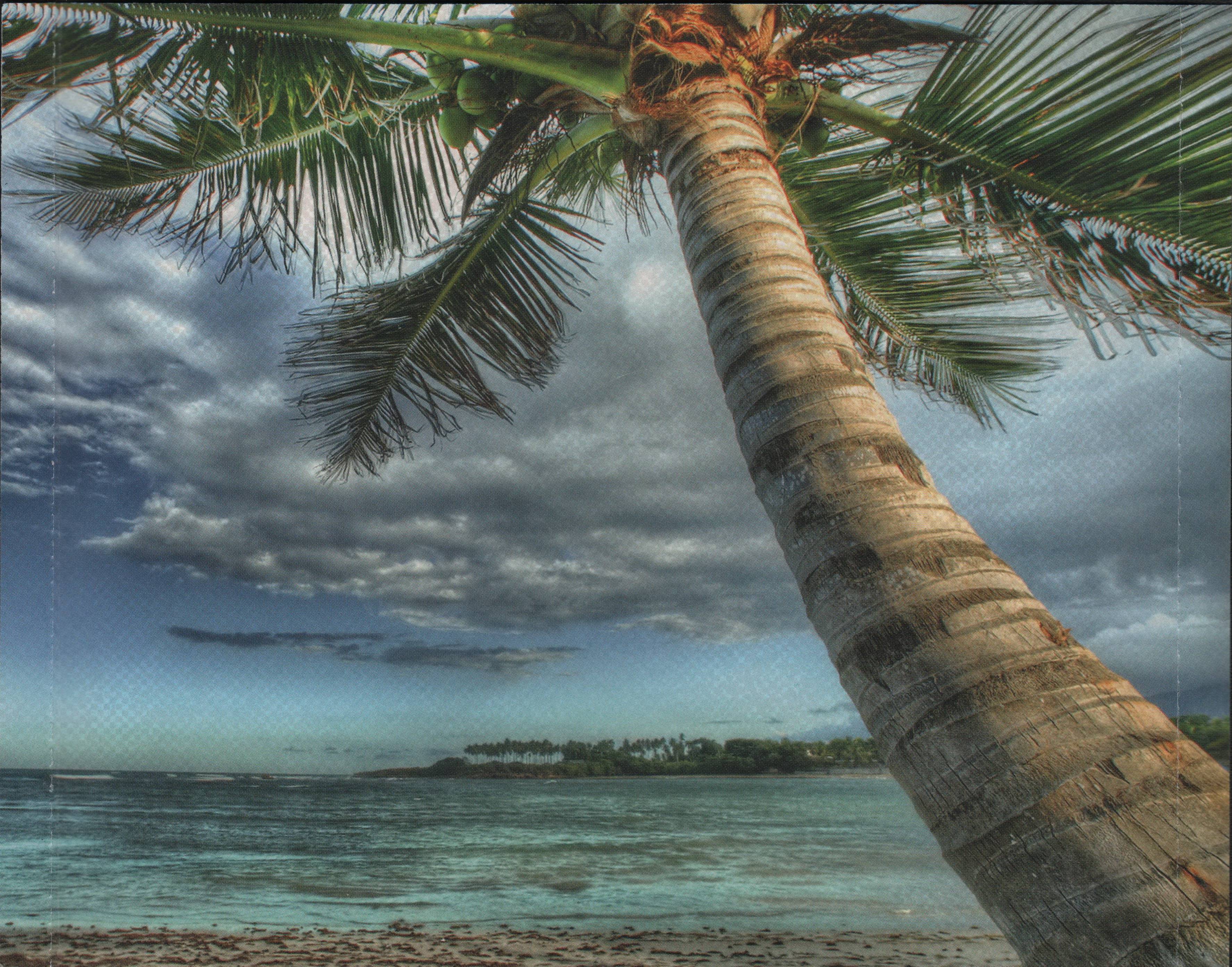 Emerson, Lake and Palmer Live At The Mar Y Sol Festival 1972 : Back